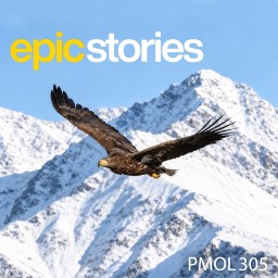 Epic Stories