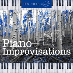 Piano Improvisations
