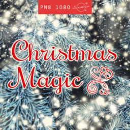Christmas Magic