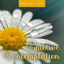 Emotive Contemplation
