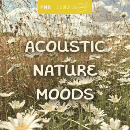 Acoustic Nature Moods