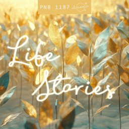 Life Stories