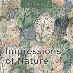 Impressions Of Nature