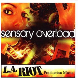 Sensory Overload