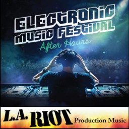 Electronic Music Festival After Hours