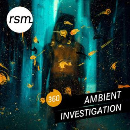 Ambient Investigation