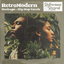 RetroModern Mashups - Hip Hop Vocals