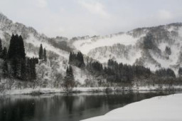 Investigation Moods 1