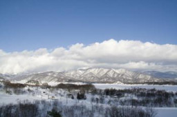 Investigation Moods 2