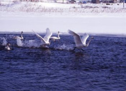 Investigation Moods 3