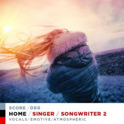 SINGER / SONGWRITER 2