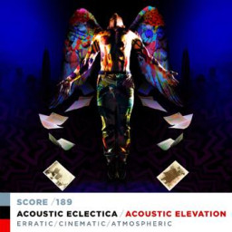 ACOUSTIC ELEVATION