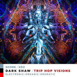 TRIP HOP VISIONS