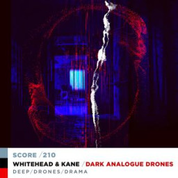 DARK ANALOGUE DRONES