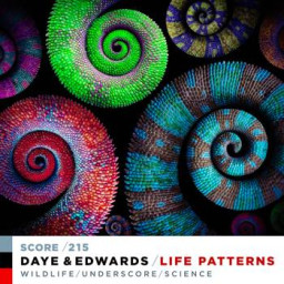 LIFE PATTERNS