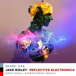 REFLECTIVE ELECTRONICA