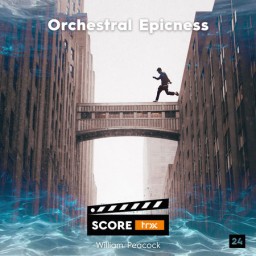 Score TRX 024