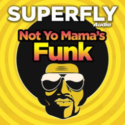 Not Yo Mama's Funk [Blues]