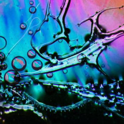 Genetically Modified Drones