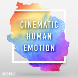 Cinematic Human Emotion