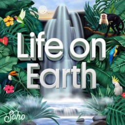 Life On Earth