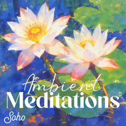 Ambient Meditations