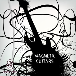 Magnetic Guitars