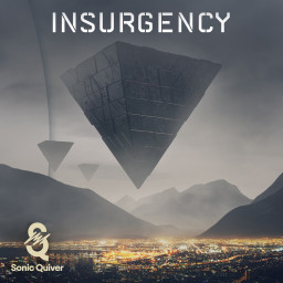 Insurgency