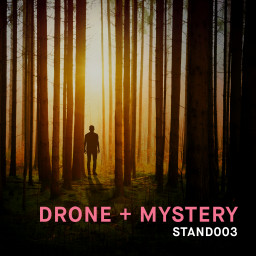 Drone + Mystery