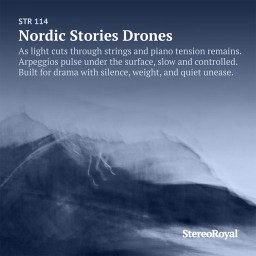 Nordic Stories Drones