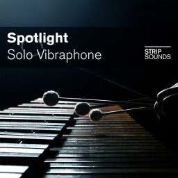 Spotlight: Solo Vibraphone