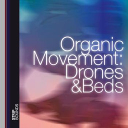 Organic Movement : Drones & Beds