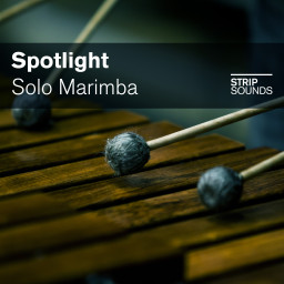 Spotlight: Solo Marimba