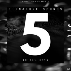 Signature Sounds - In All Keys (vol. 5)