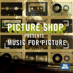 Music For Picture