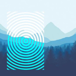 The Island Experience