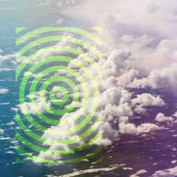 Emotional Victory & Defeat