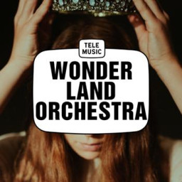 Wonderland Orchestra
