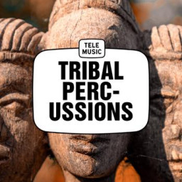 Tribal Percussions