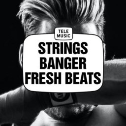 Strings Banger Fresh Beats