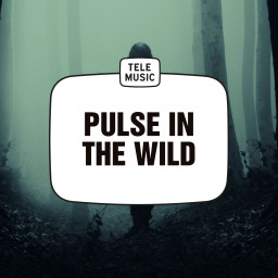 Pulse In The Wild
