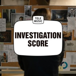 Investigation Score
