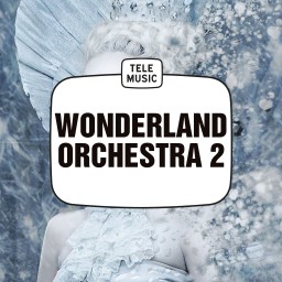 Wonderland Orchestra 2