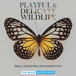 Playful and Delicate Wildlife