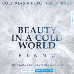 Beauty In A Cold World (Solo Piano with Strings) (Vol.5)