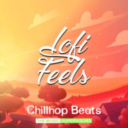 Lofi Feels (Chillhop Beats)