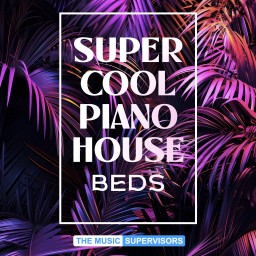 Super Cool Piano House Beds (Influencers & Youtube)