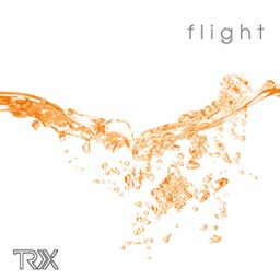 Flight