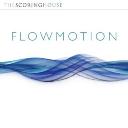Flowmotion