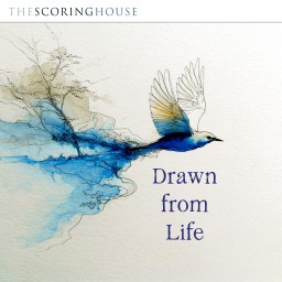 Drawn From Life